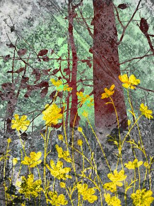 Deep Forest Flora Yellow