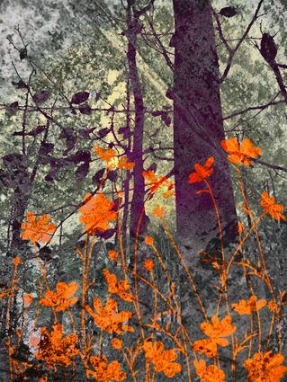 Deep Forest Flora Orange
